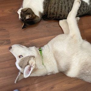 Meet your Posher, Sabrina